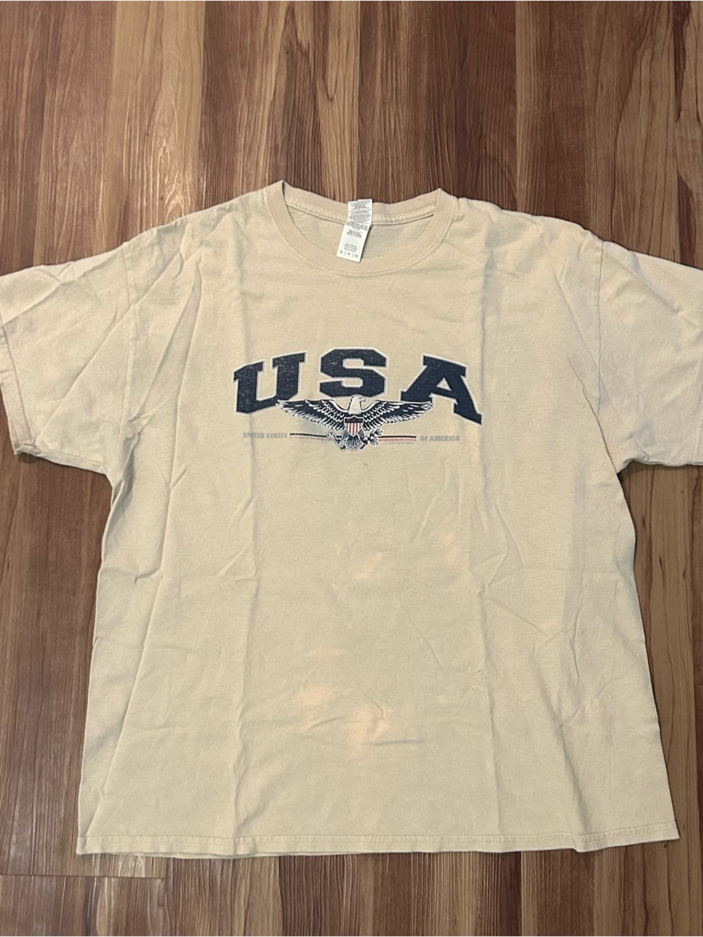 Short-Sleeve USA Graphic Tee in Beige